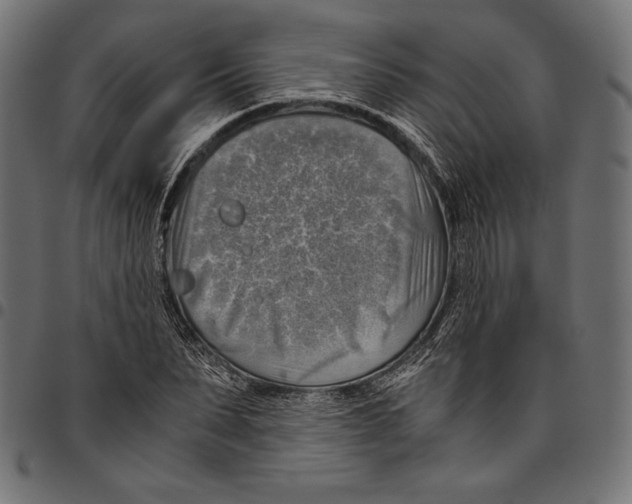 X0000094800879200712141650