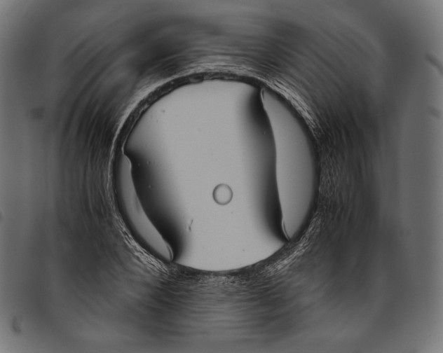 X0000094800880200712141650