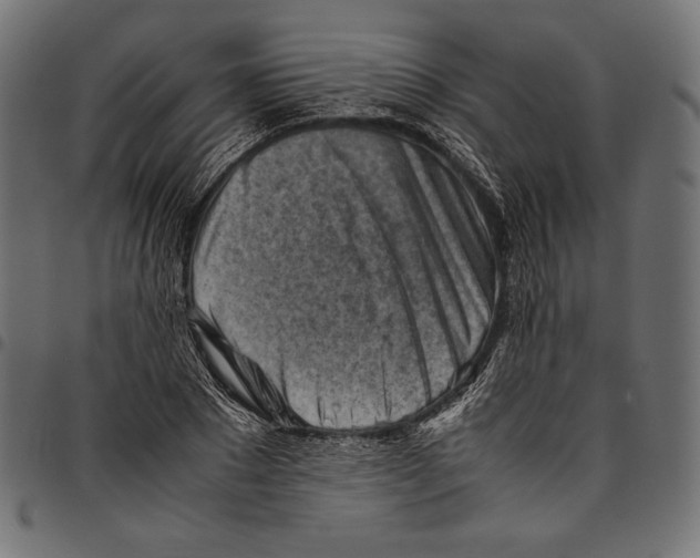 X0000094800881200712141650