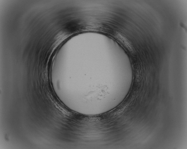 X0000094800884200712141650