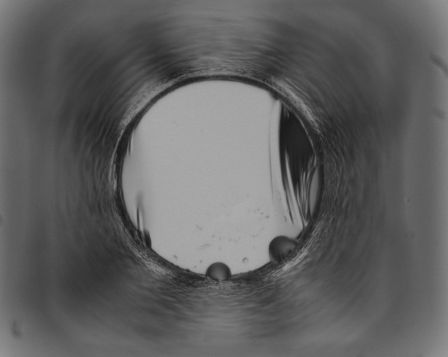 X0000094800885200712141650