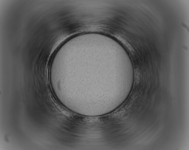 X0000094800886200712141650