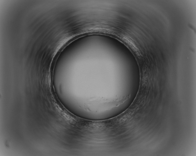 X0000094800888200712141650