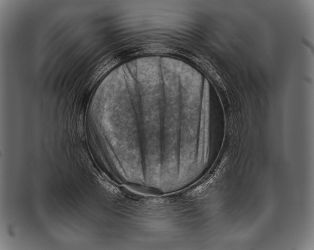 X0000094800889200712141650