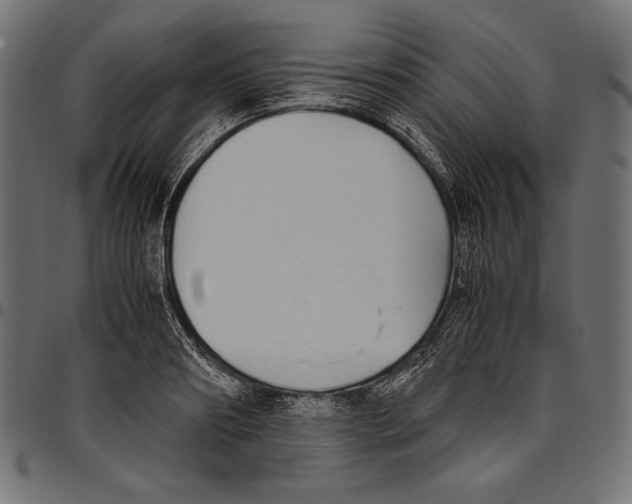 X0000094800890200712141650