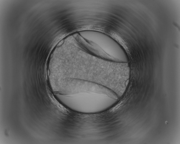 X0000094800892200712141650