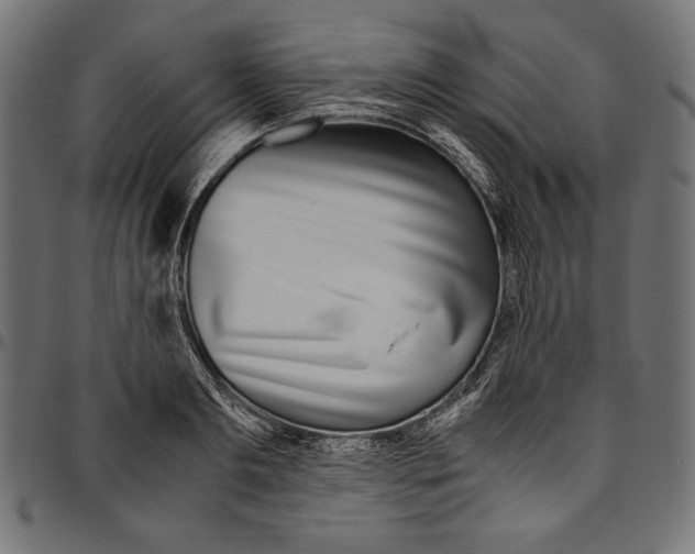 X0000094800893200712141650
