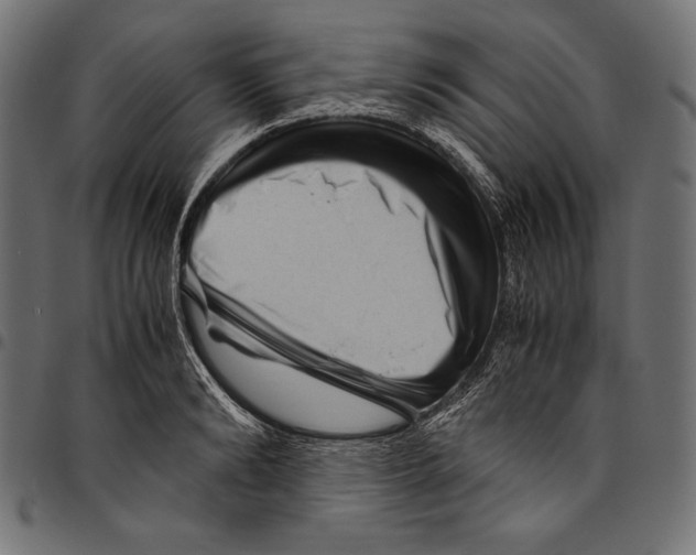 X0000094800894200712141650