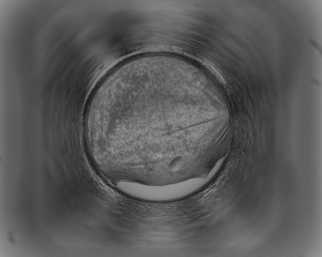X0000094800895200712141650