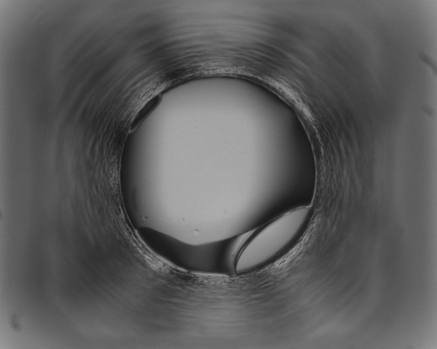 X0000094800897200712141650