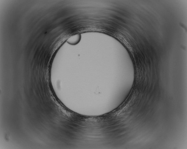 X0000094800898200712141650