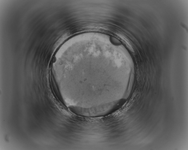 X0000094800899200712141650