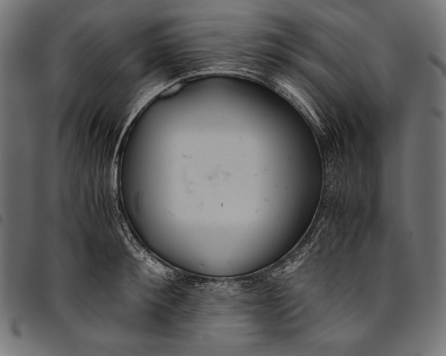 X0000094800900200712141650