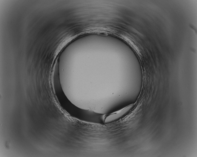 X0000094800901200712141650