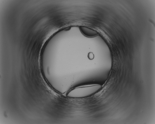 X0000094800902200712141650