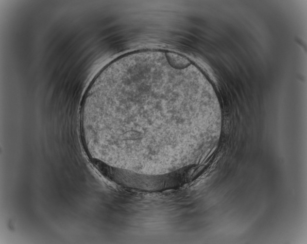 X0000094800903200712141650