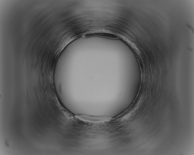 X0000094800905200712141649