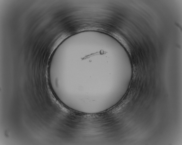 X0000094800906200712141649