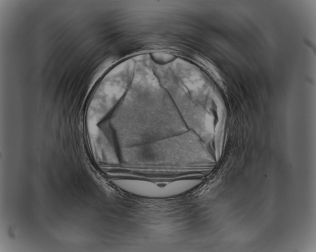 X0000094800907200712141649