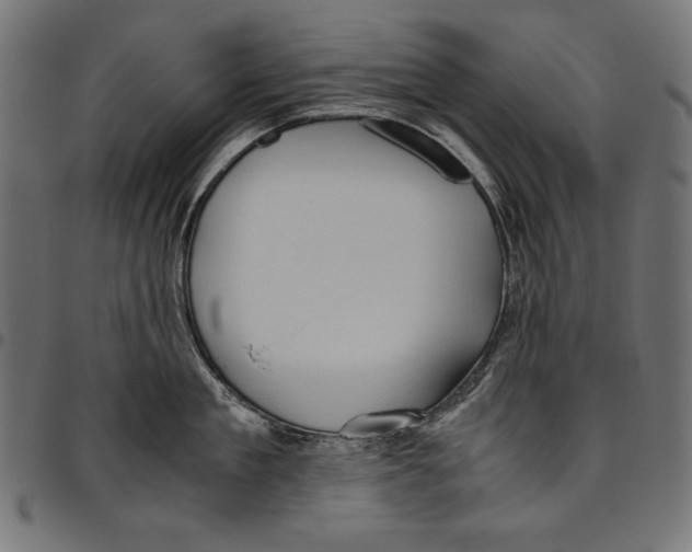 X0000094800909200712141649