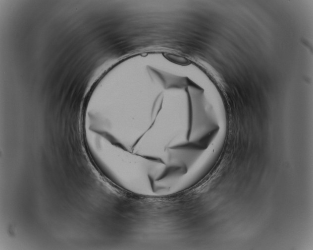 X0000094800910200712141649