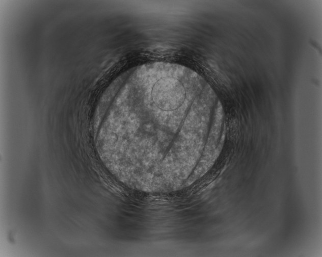 X0000094800913200712141649