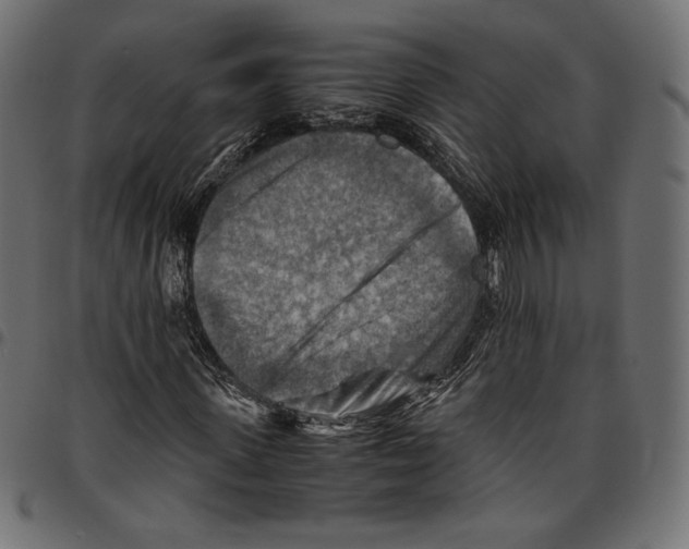 X0000094800915200712141649