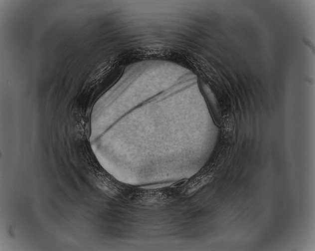 X0000094800916200712141649