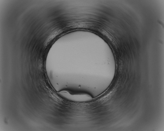 X0000094800922200712141649