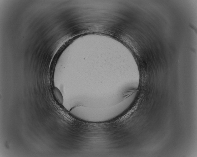 X0000094800924200712141649