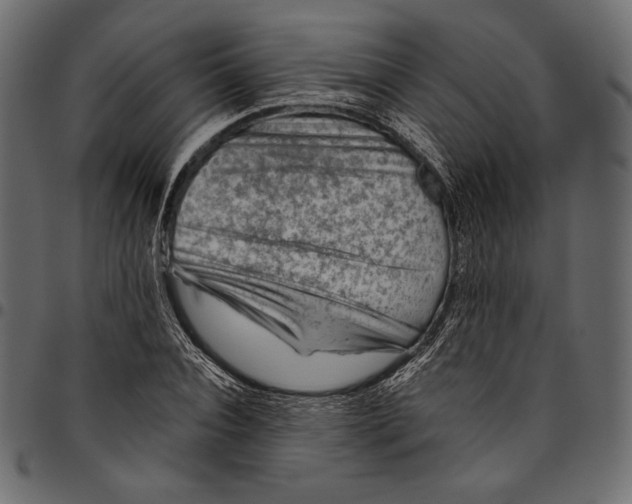 X0000094800928200712141649