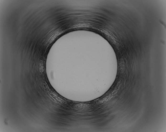 X0000094800929200712141649