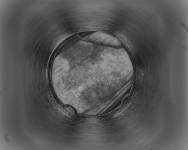 X0000094800932200712141649