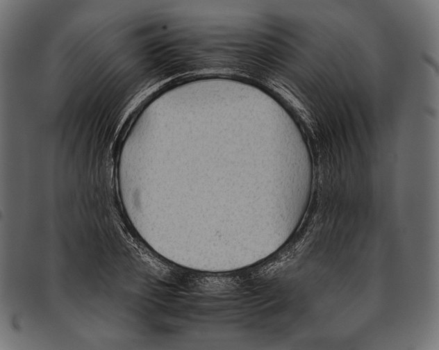 X0000094800933200712141649