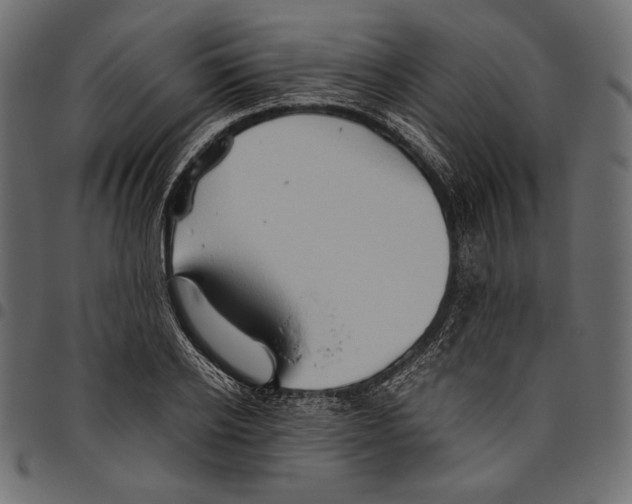 X0000094800934200712141649