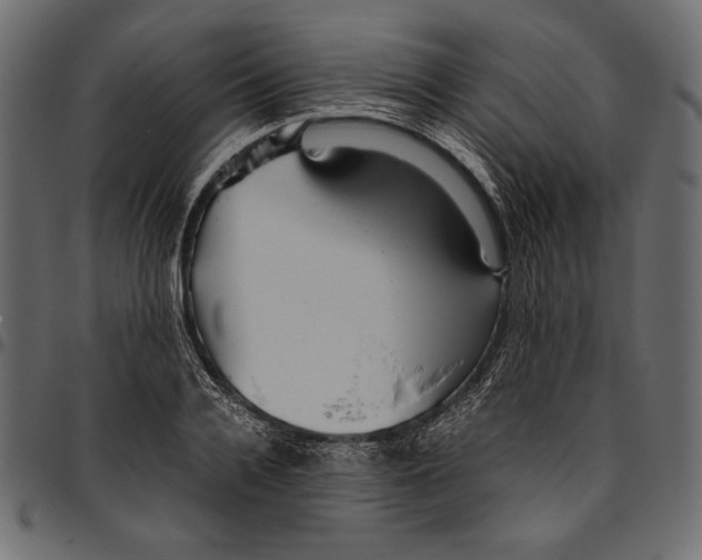 X0000094800936200712141649