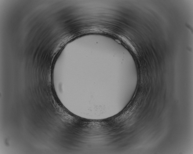 X0000094800938200712141649