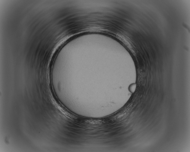 X0000094800939200712141649