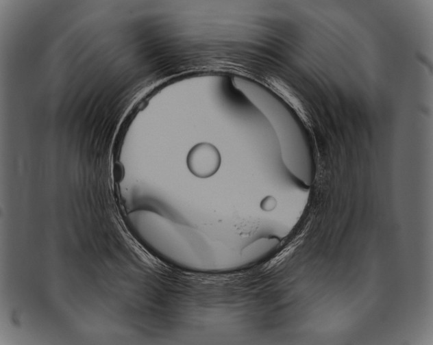 X0000094800940200712141649