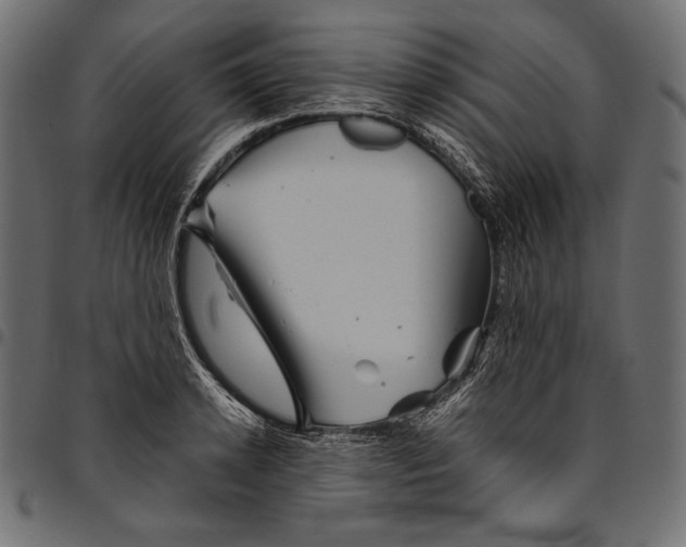 X0000094800942200712141649