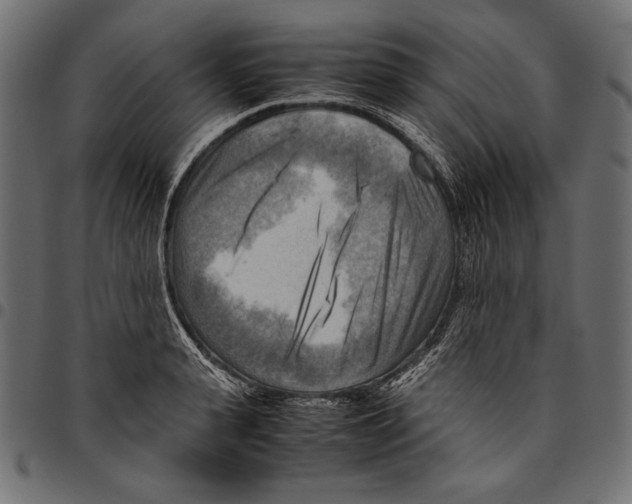 X0000094800943200712141649