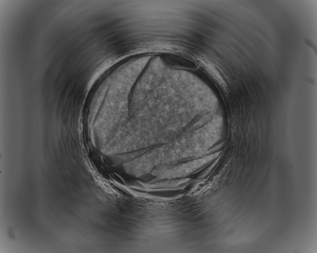 X0000094800944200712141649
