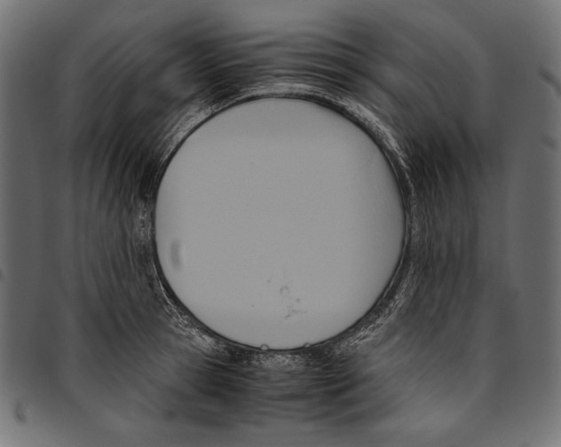 X0000094800945200712141649