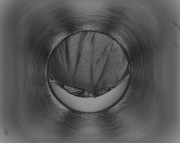 X0000094800946200712141649