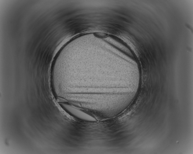 X0000094800949200712141649