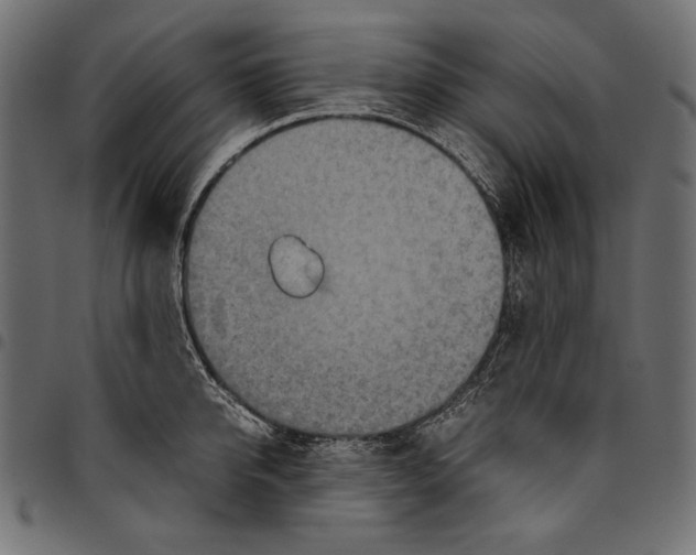X0000094800950200712141649