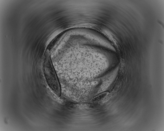 X0000094800952200712141649