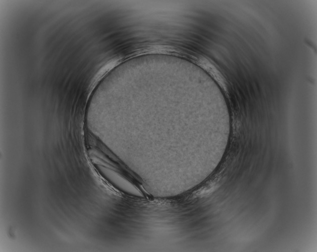 X0000094800954200712141649