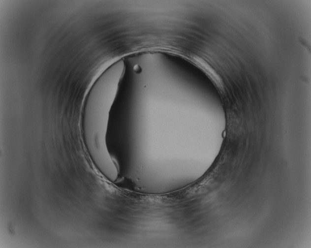 X0000094800956200712141649