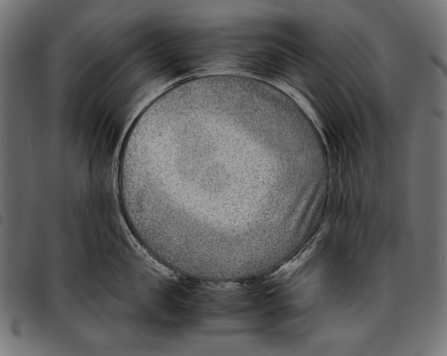 X0000094800957200712141649